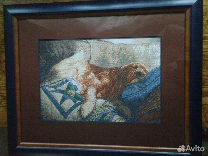 Золотые сны