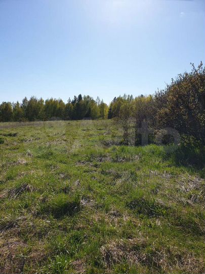 Участок 32 сот. (ИЖС)