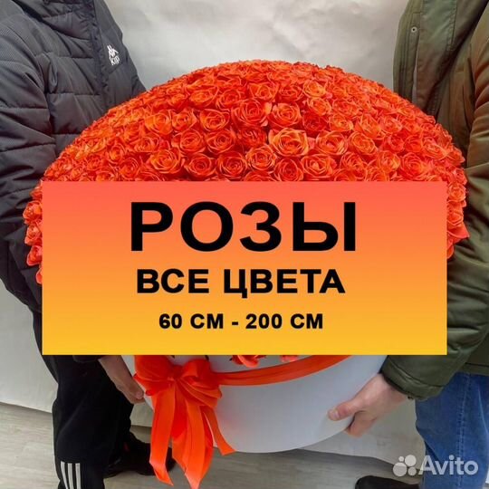 101 роза, свежие цветы, большой букет. Москва
