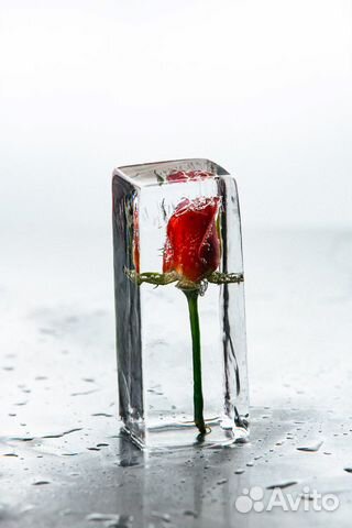 Лед пищевой с розой для баров