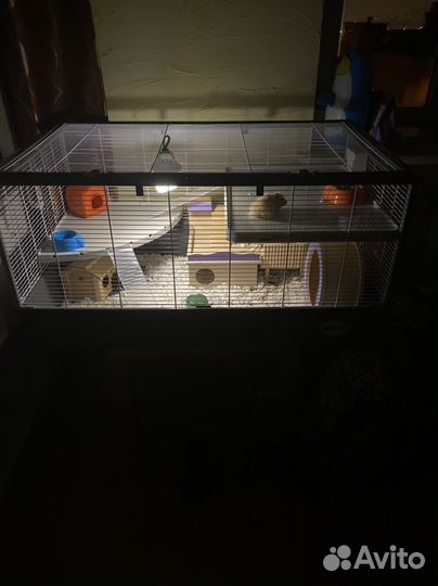 Клетка ferplast