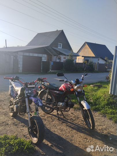 Рейсер альфа