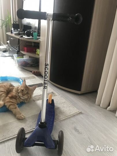 Самокат детский трехколесный scooter