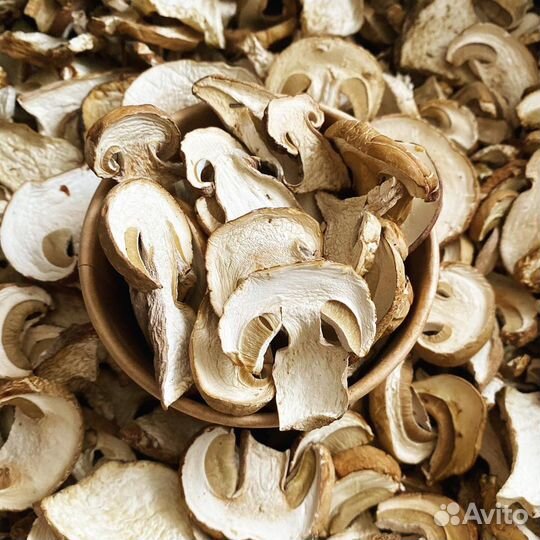 Грибы белые