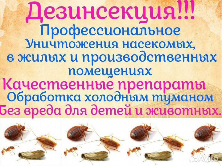 Дезинфекция