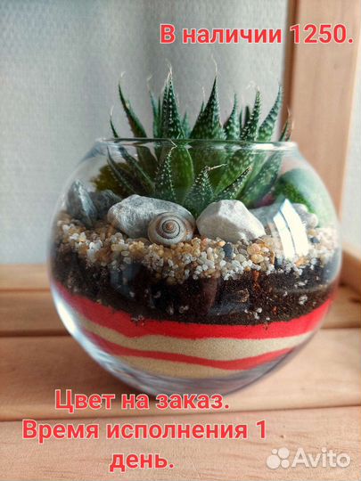 Флорариум в круглой вазе