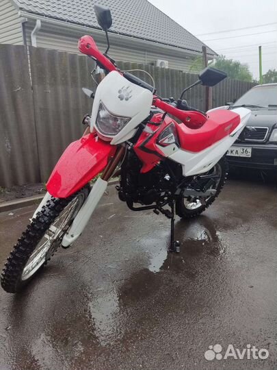 Ирбис ттр250р