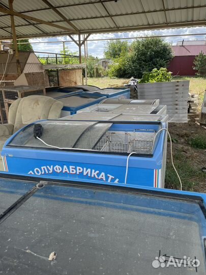 Морозильные лори