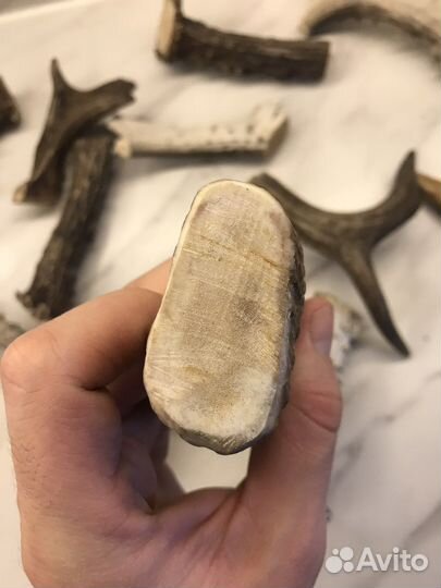 Лакомства для собак