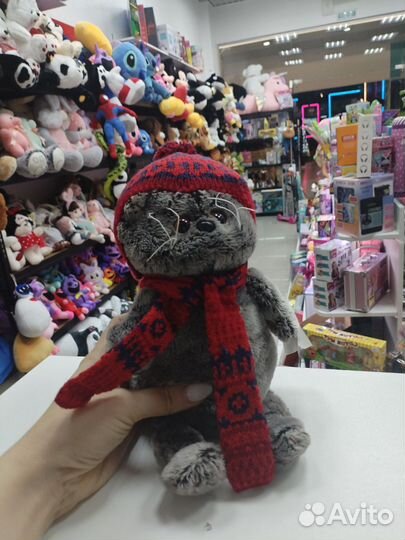 Кот басик