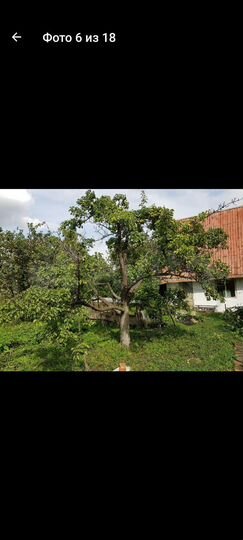 Участок 4 сот. (СНТ, ДНП)