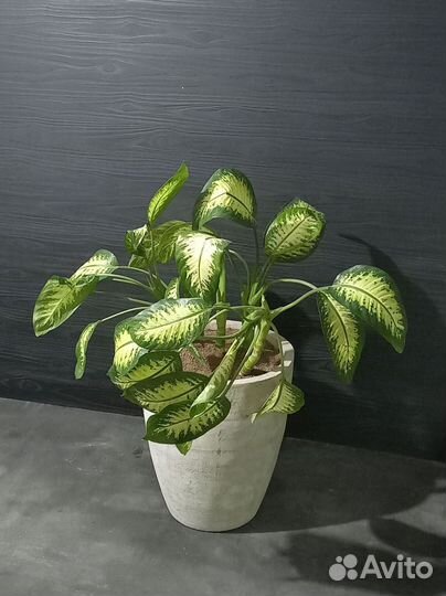 Вазоны, Горшки, Кашпо под заказ из бетона арт 24