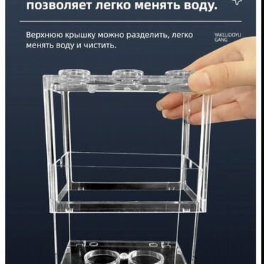 Аквариум для петушка