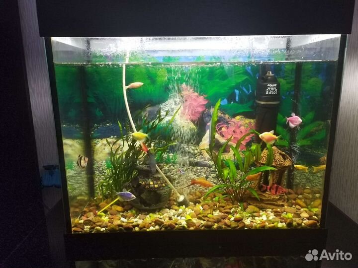 Аквариум