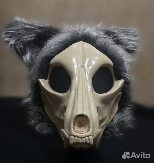Skull dog