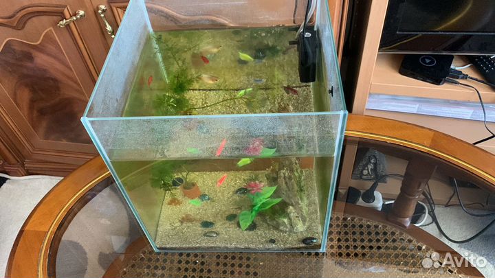 Аквариум с рыбками и оборудованием