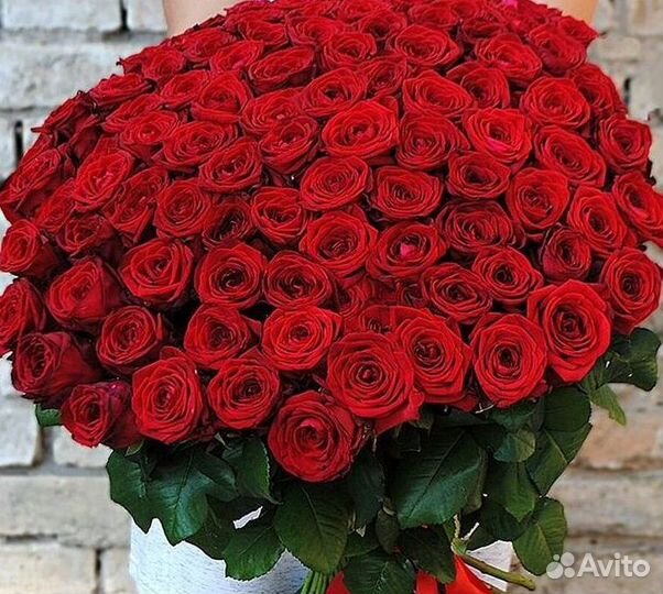 51 Роза, Букеты Цветы Розы 25 101 501 1001
