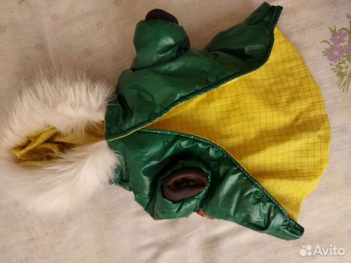 Одежда для животных