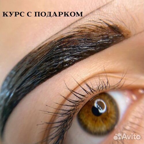 Обучение на бровиста