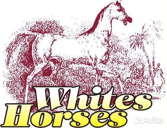 Архив принтов для сублимации