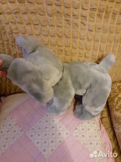 Слон слонёнок