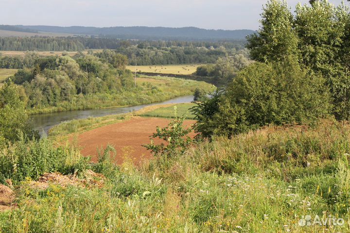 Мед натуральный 2023 год