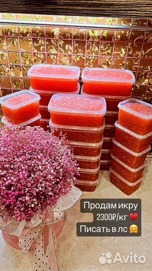 Красная икра горбуши