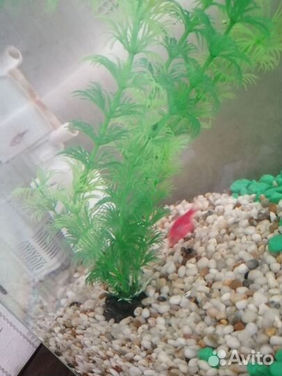 Украшения для аквариума