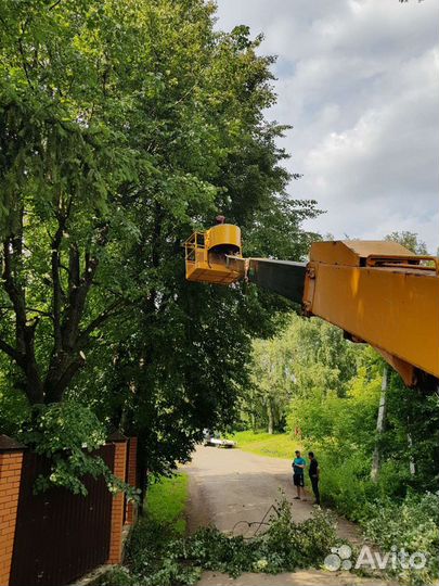 Спил деревьев во Владимире и Области