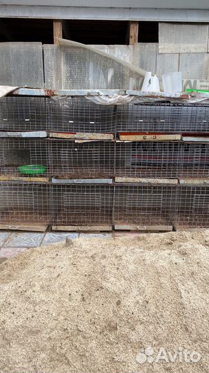 Клетки для цыплят и кур