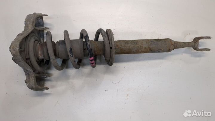 Амортизатор подвески Audi A4 (B7), 2007