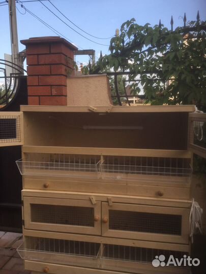 Клетка брудер для цыплят