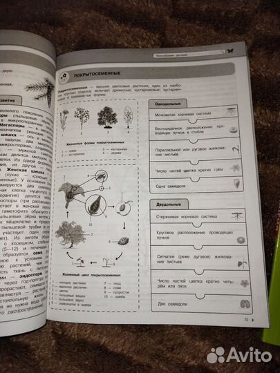 Биология егэ огэ справочник