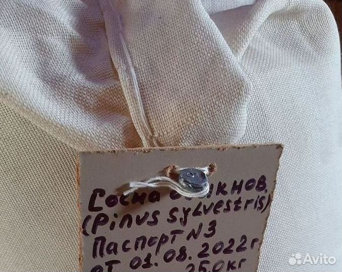 Доставка семян сосны