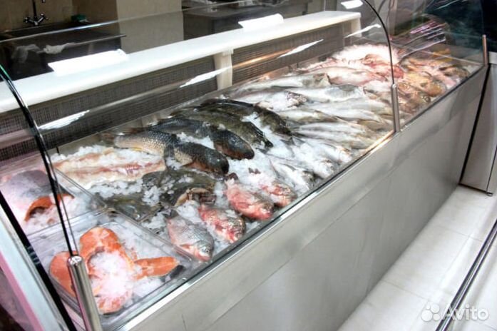 Продам прибыльный рыбный магазин – готовый бизнес с потенциалом роста