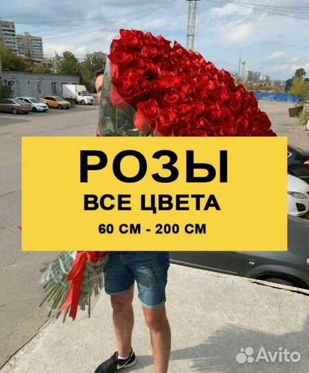 Доставка цветов / 101 роза / пионы / ромашки