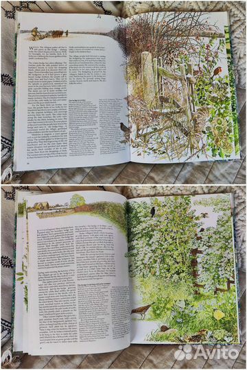 Винтажная книга о природе Англия