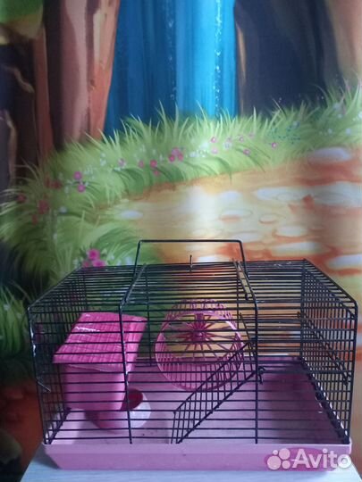 Клетка для джунгарского хомяка