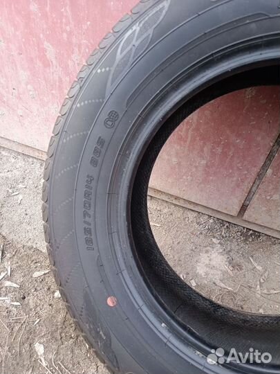 Dunlop Enasave EC204 185/70 R14 88S