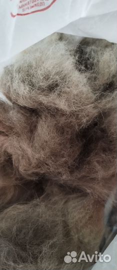 Собачья шерсть