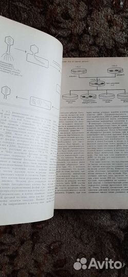 Редкая книга Биология 1975 г