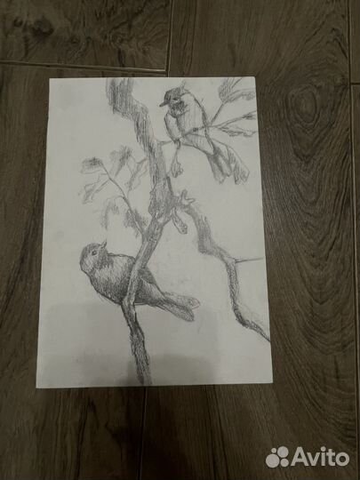 Академический рисунок