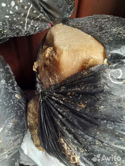 Мясо для собак