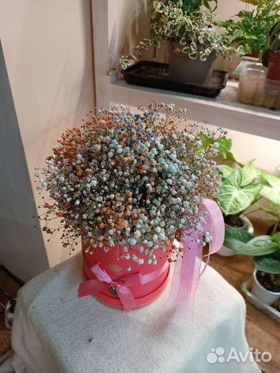 Гипсофилы в шляпной коробке. Цветы