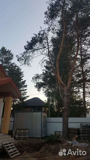 Спиливание деревьев