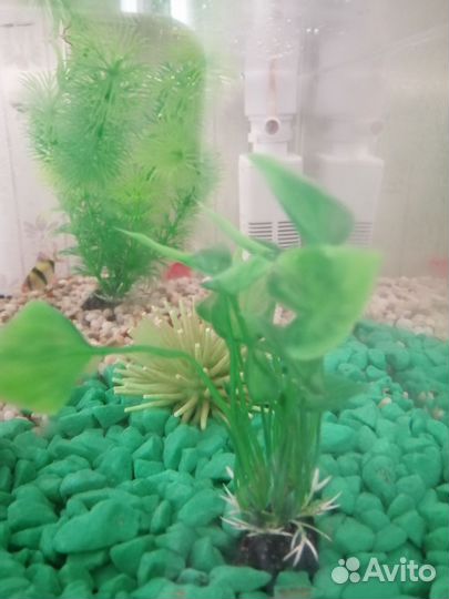 Украшения для аквариума