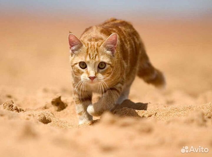 Песок щебень