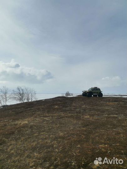 Снегоболотоход Бронто 1922-50