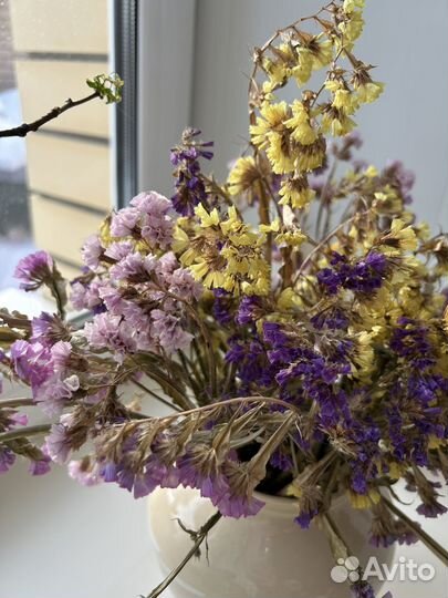 Сухоцветы для творчества