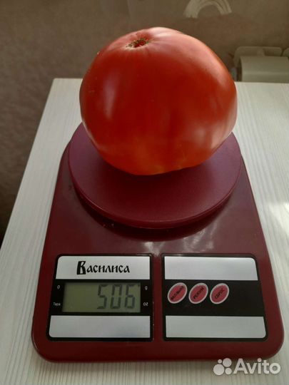 Семена коллекционных сортов помидоров и перца